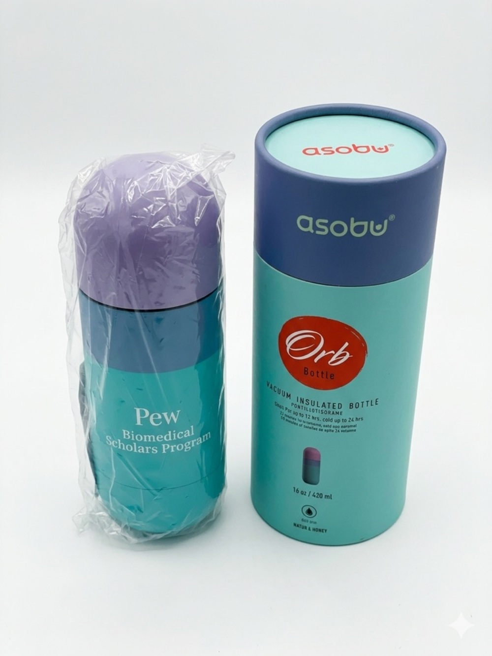 Asobu Orb Stainless Steel Double Wall Insulated Travel Water Bottle 16 Ounce